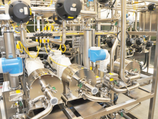 Chromatography Skid, 2 Inch, with Quattroflow QF20 Diaphragm Pumps